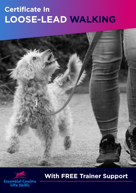 Essential Canine Life Skills - Loose Lead Walking