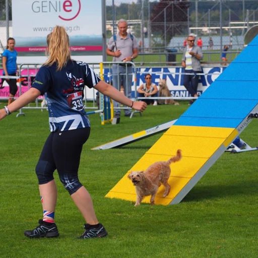 Essential Canine Life Skills - Agility Private Lessons