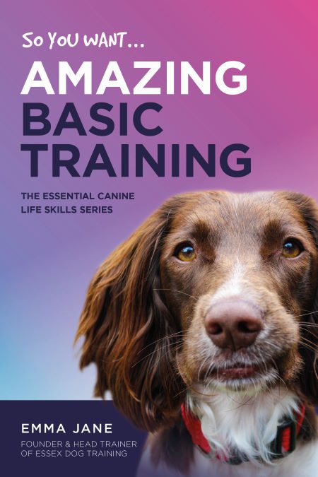 ECLS - 2 Amazing Basic Training Cover