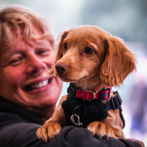 Preparing your dog for a house move!